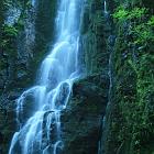 Kniebis 2009 Bild 37